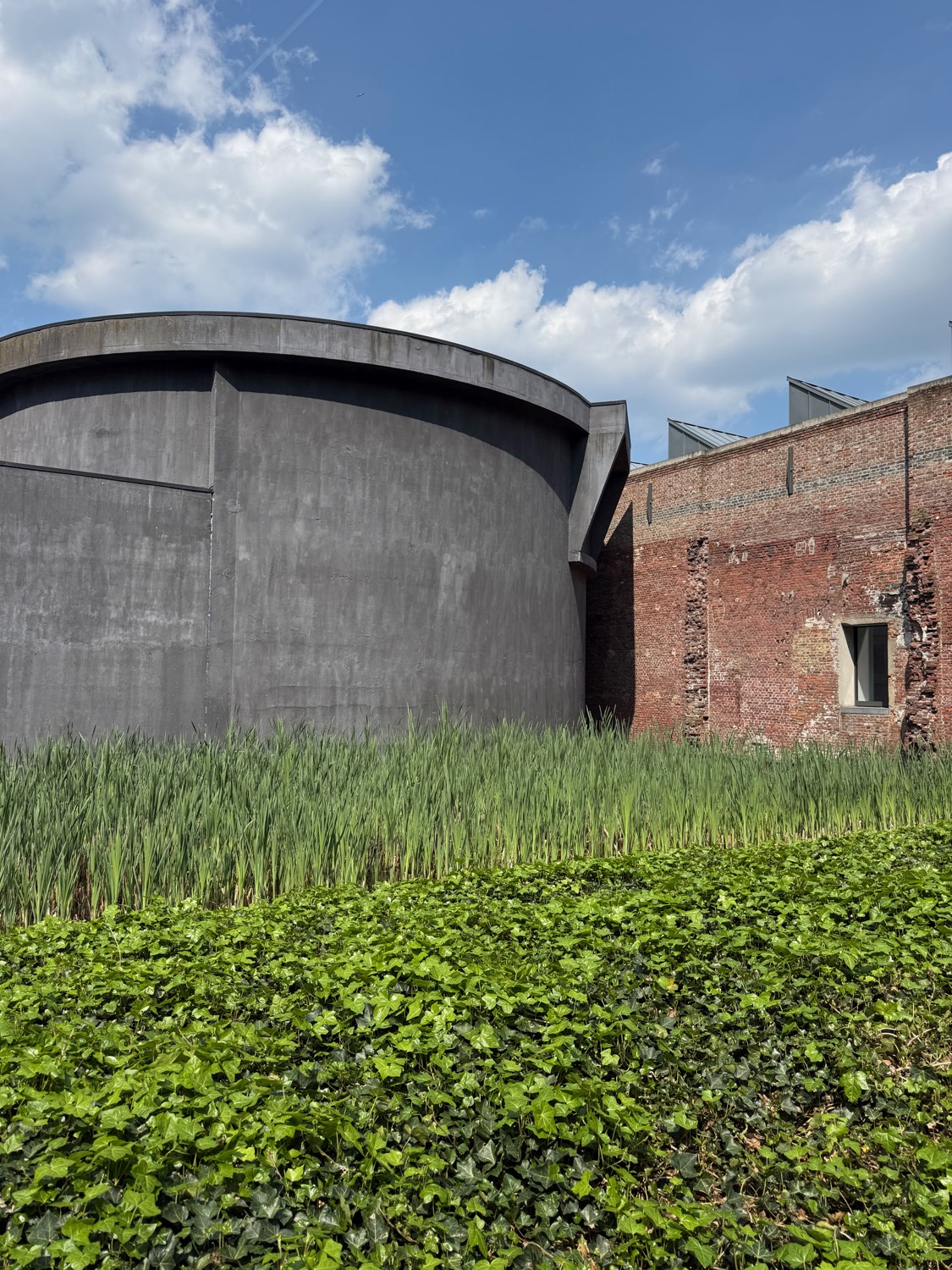 A round windowless concrete building rising from a pond of reeds and ivy, the brick distillery wall beside it under a blue sky.