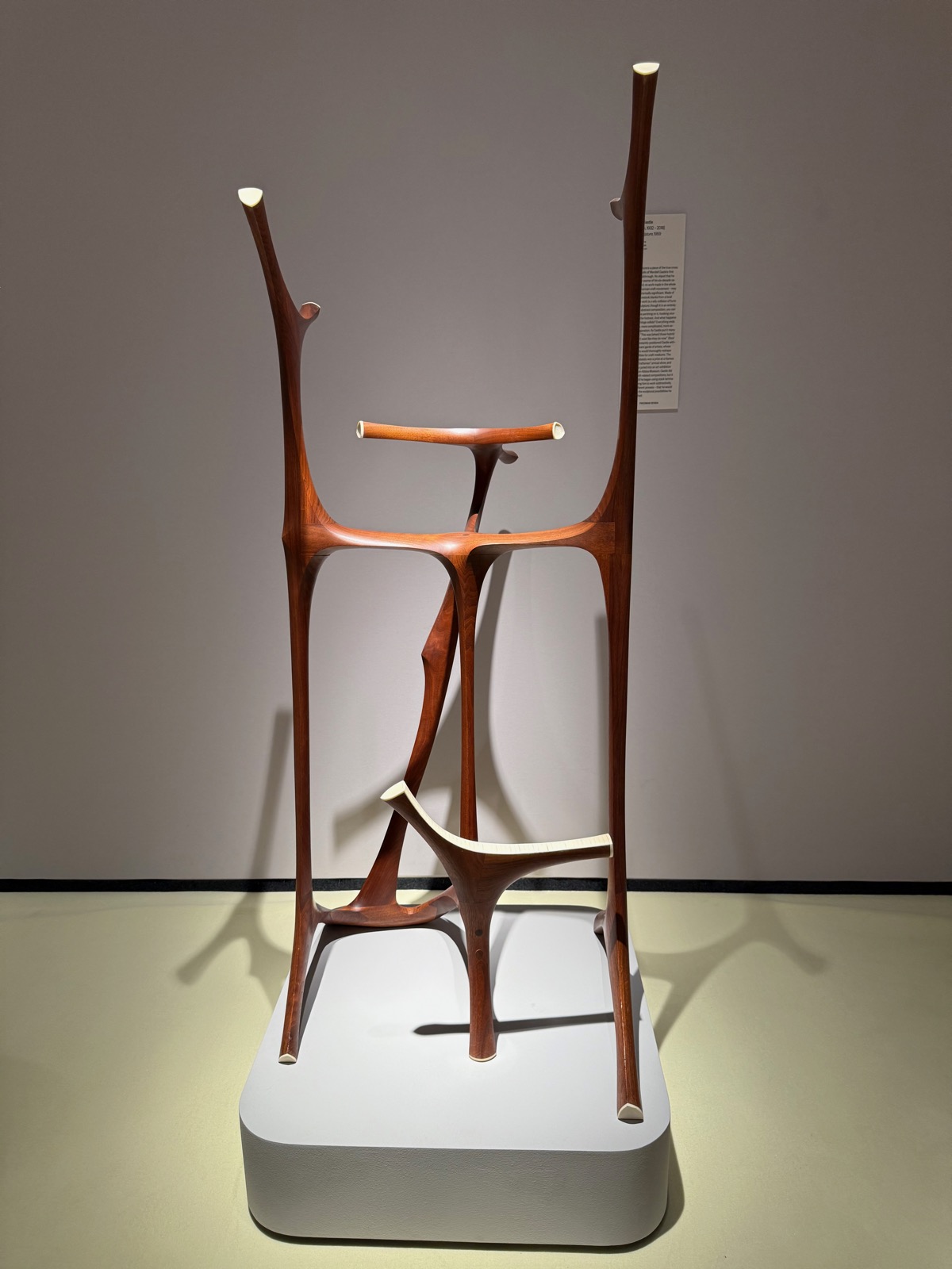 Wendell Castle's tall organic walnut sculpture with branching forms tipped in pale ivorine, on a white plinth.