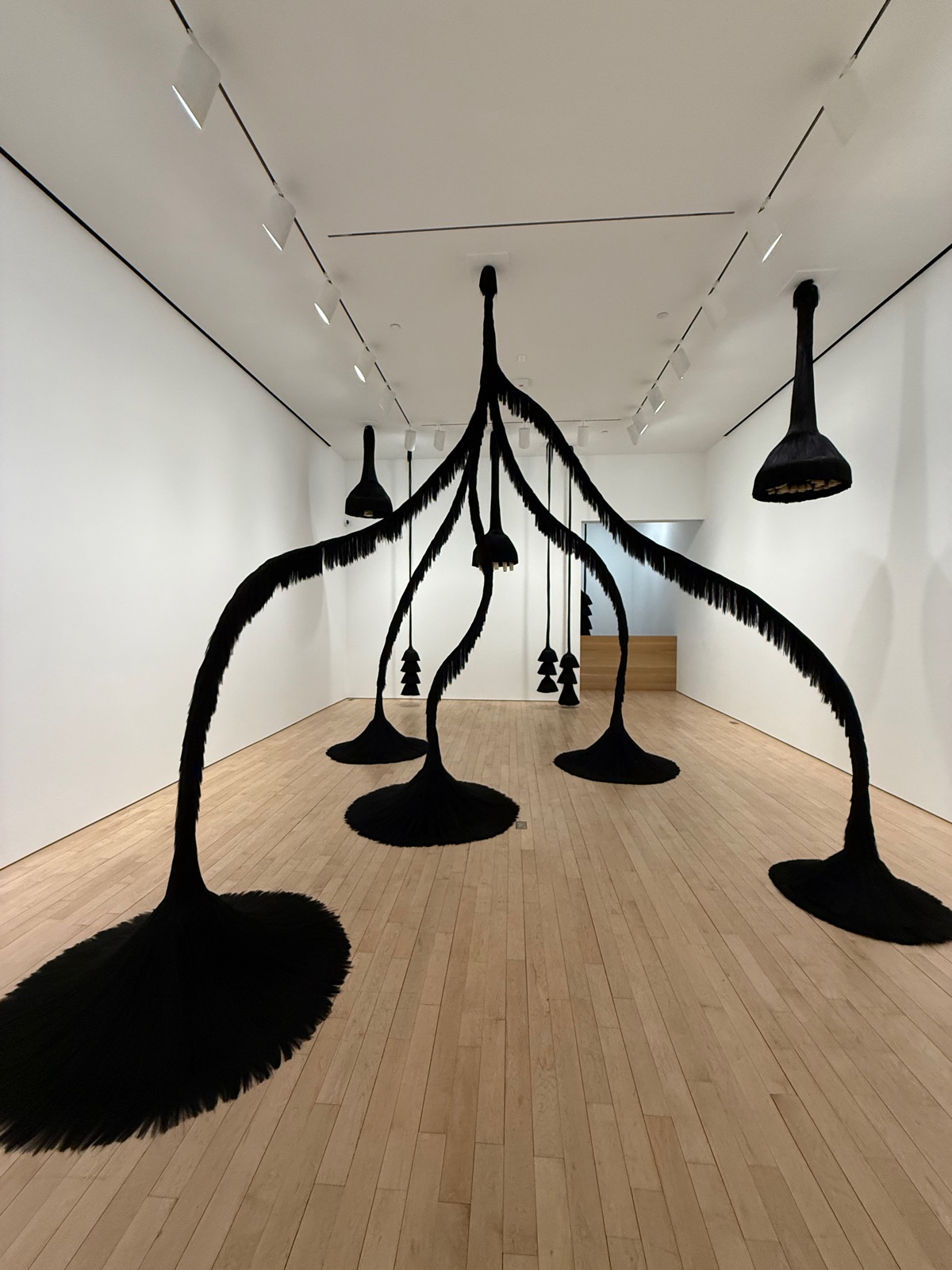 Arching forms made from black Kanekalon braiding hair, hanging and pooling on the floor of a bright gallery.
